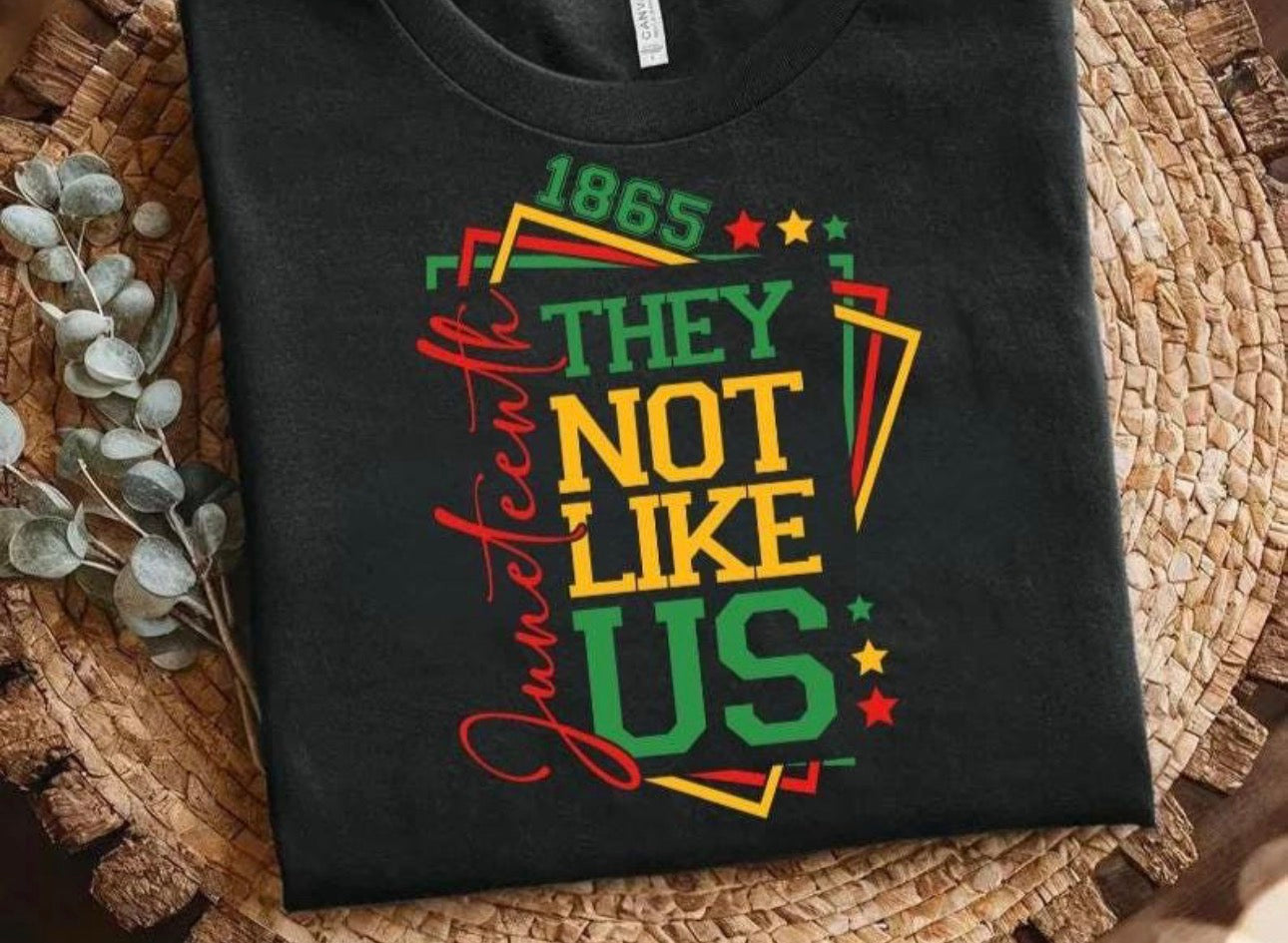 THEY NOT LIKE US 1865